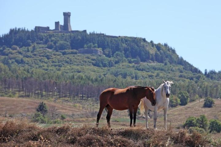Casa Bandino Daire Campiglia dʼOrcia Dış mekan fotoğraf