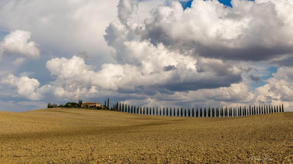 Casa Bandino Daire Campiglia dʼOrcia Dış mekan fotoğraf